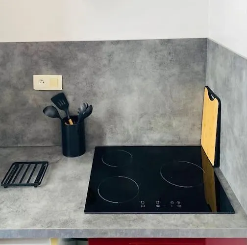 Apartament Chez Mischa *