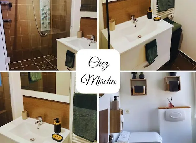 Apartament Chez Mischa Épernay